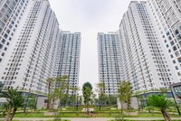 Ecohome 3 vẫn còn 157 căn nhà ở xã hội cho thuê sẽ chuyển bán trong tương lai. Ảnh: Chủ đầu tư Capital House