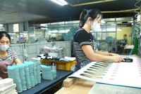 Doanh nghiệp có tổng doanh thu năm không quá 3 tỷ đồng được áp thuế thu nhập doanh nghiệp 15%, tổng doanh thu năm từ trên 3 tỷ đồng đến 50 tỷ đồng là 17%. Ảnh: Tiên Giang