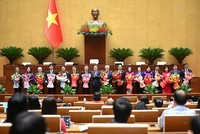 Hội đồng Bầu cử Quốc gia gồm có 19 thành viên.