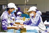 Các doanh nghiệp đang chờ hướng dẫn cụ thể để tiếp cận nguồn vốn ưu đãi