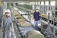 Các quy định chồng chéo, phức tạp và không cần thiết cần được cắt bỏ để tạo điều kiện thuận lợi cho doanh nghiệp phát triển (Ảnh: Dũng Minh) 