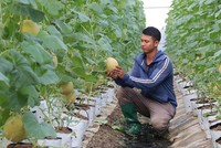 Ngành nông nghiệp vẫn duy trì đà tăng trưởng tích cực