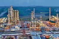 Ban Chỉ đạo có nhiệm vụ xây dựng Đề án về Phát triển kinh tế nhà nước theo hướng nâng cao hiệu quả kinh tế nhà nước để trình Bộ Chính trị ban hành nghị quyết về kinh tế nhà nước.
