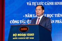 Phó thủ tướng, Bộ trưởng Bộ Ngoại giao Bùi Thanh Sơn. Ảnh: Đức Thanh