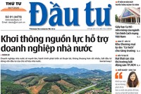 Báo Đầu tư số 91