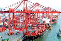 Cục Xuất nhập khẩu đang xây dựng Đề án “Đa dạng hóa nguồn cung nguyên liệu nhập khẩu phục vụ sản xuất trong nước”.