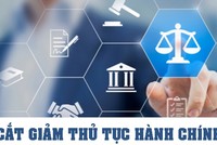 Tập trung hoàn thành cắt giảm, đơn giản hóa thủ tục hành chính, điều kiện kinh doanh