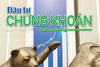 Báo Đầu tư Chứng khoán số 33