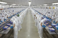 Mỹ là thị trường lớn nhất của Vĩnh Hoàn, đóng góp khoảng 43,8% tổng doanh thu xuất khẩu