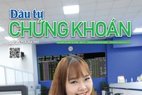 Báo Đầu tư Chứng khoán số 35