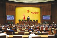 Từ đầu nhiệm kỳ đến nay, Quốc hội khóa XV đã thông qua 99 luật. Ảnh: P.T