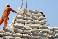 Thủ tướng chỉ đạo các Bộ ngành có giải pháp nhằm đa dạng hóa thị trường xuất khẩu gạo.