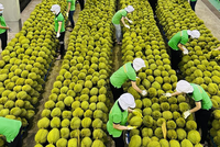 Lưu ý doanh nghiệp giữ đà xuất khẩu sang thị trường trọng điểm
