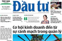 Báo Đầu tư số 110