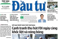 Báo Đầu tư số 113