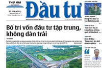 Báo Đầu tư số 114