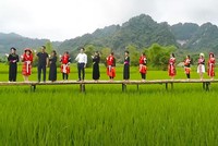 Trong bức tranh phát triển du lịch Việt Nam và xây dựng nông thôn mới, du lịch nông thôn đang từng bước khẳng định vị thế như một “ngành công nghiệp văn hóa xanh”. Ảnh: Nhật Hạ.