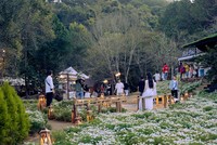 Lâm Đồng sẽ thanh, kiểm tra hoạt động “tour giá rẻ”