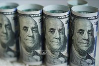 Đồng USD. Ảnh: THX/TTXVN 