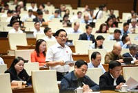 Đại biểu Trần Quốc Tuấn (Vĩnh Long) phát biểu. Ảnh: NY 