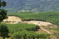 Dự thảo Bảng giá tính thuế tài nguyên trên địa bàn TP.Đà Nẵng được áp dụng đối với các nhóm khoáng sản kim loại, khoáng sản không kim loại, sản phẩm rừng tự nhiên... Ảnh: Linh Đan 