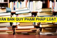 Chính phủ bãi bỏ toàn bộ 8 nghị định. Ảnh minh họa.