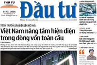 Báo Đầu tư số 133