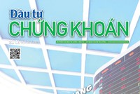 Báo Đầu tư Chứng khoán số 46