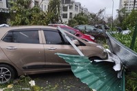 Hàng loạt cơn bão lớn trong 2 năm qua gây nhiều thiệt hại 