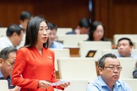 Đại biểu Hoàng Thị Thanh Thúy (Tây Ninh).