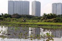 Nếu danh mục đợt 2 được thông qua, TP.HCM sẽ có 117 khu đất, với tổng diện tích hơn 1.510,3 ha tham gia thí điểm.