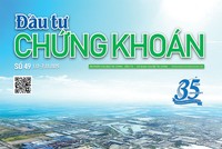 Báo Đầu tư Chứng khoán số 49
