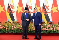 Thủ tướng Phạm Minh Chính hội kiến Quốc vương Brunei Darussalam Haji Hassanal Bolkiah. Ảnh: Đức Thanh