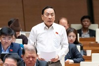  Đại biểu Phạm Văn Hòa (đoàn Đồng Tháp) phát biểu. 