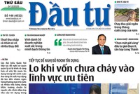 Báo Đầu tư số 146