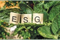 M&A tái định hình bất động sản công nghiệp 