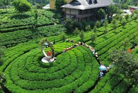 Tiến Yên Farmstay là một trong những điểm du lịch cộng đồng kiểu mẫu của Thái Nguyên.