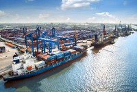 Hoạt động xuất nhập khẩu đóng góp đáng kể vào nguồn thu ngân sách trên địa bàn thành phố. Ảnh: Cảng Đình Vũ