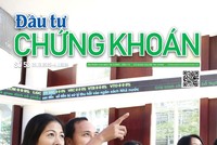 Báo Đầu tư Chứng khoán số 53