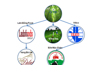 GTN đầu tư vào nhiều doanh nghiệp nông nghiệp lớn