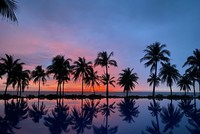 Hoàng hôn trên Bãi Trường