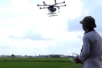 Lộc Trời (LTG) mở rộng dịch vụ phun thuốc bằng thiết bị không người lái