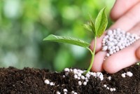 Năm 2023, ngành phân bón sẽ chịu áp lực từ mức nền cao