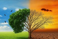 Biến đổi khí hậu “siết chặt” xuất khẩu, doanh nghiệp phải nhanh chuyển mình