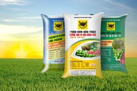 Phân bón Bình Điền (mã BFC) vượt 15% mục tiêu lợi nhuận năm trong 6 tháng