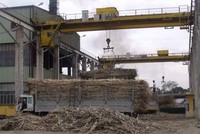 SEC phát hành hơn 11 triệu cổ phiếu bằng mệnh giá