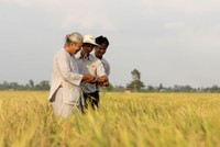 AGPPS cơ cấu lại cổ đông