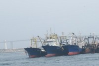 Hình ảnh con tàu mà công ty Đức Khải sẽ mua