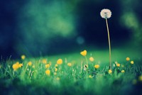 Sự kiện chứng khoán đáng chú ý ngày 8/10