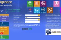 AGR thay Tổng giám đốc